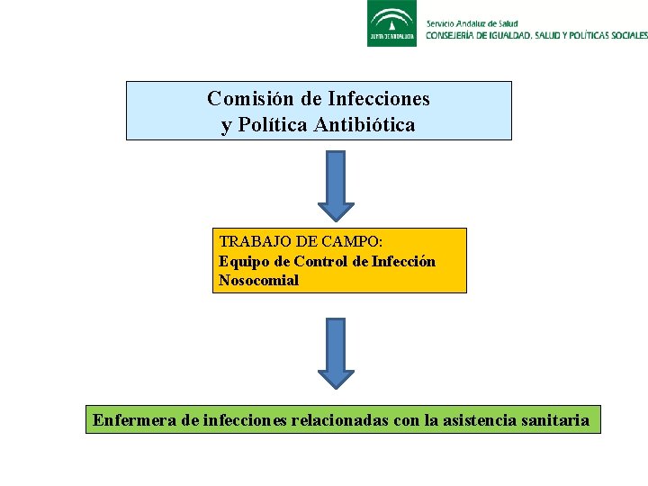 Comisión de Infecciones y Política Antibiótica TRABAJO DE CAMPO: Equipo de Control de Infección