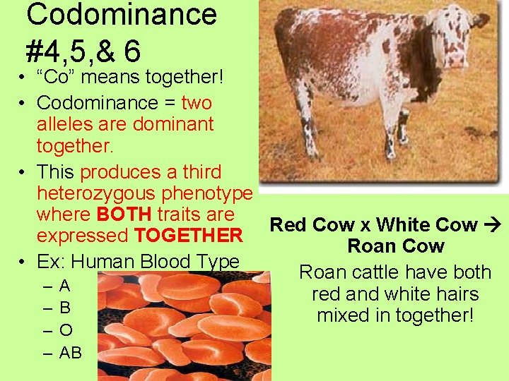 Codominant Offspring NotsoSimple Inheritance Patterns 1 and 2 Remember Genes