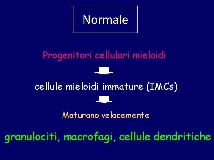 Normale Progenitori cellulari mieloidi cellule mieloidi immature (IMCs) Maturano velocemente granulociti, macrofagi, cellule dendritiche