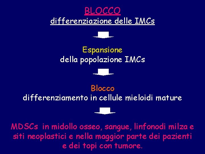 BLOCCO differenziazione delle IMCs Espansione della popolazione IMCs Blocco differenziamento in cellule mieloidi mature
