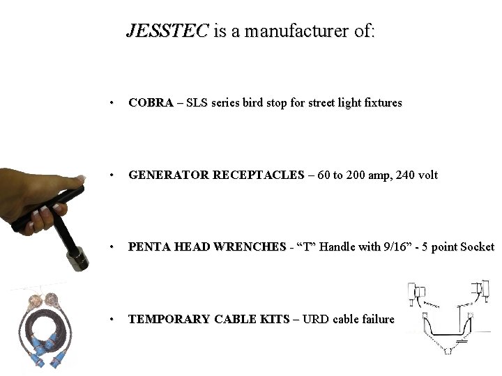 JESSTEC is a manufacturer of: • COBRA – SLS series bird stop for street