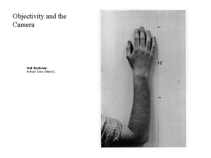 Objectivity and the Camera Mel Bochner Actual Size (Hand), 