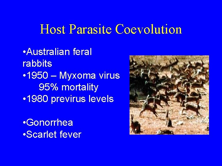 Host Parasite Coevolution • Australian feral rabbits • 1950 – Myxoma virus 95% mortality