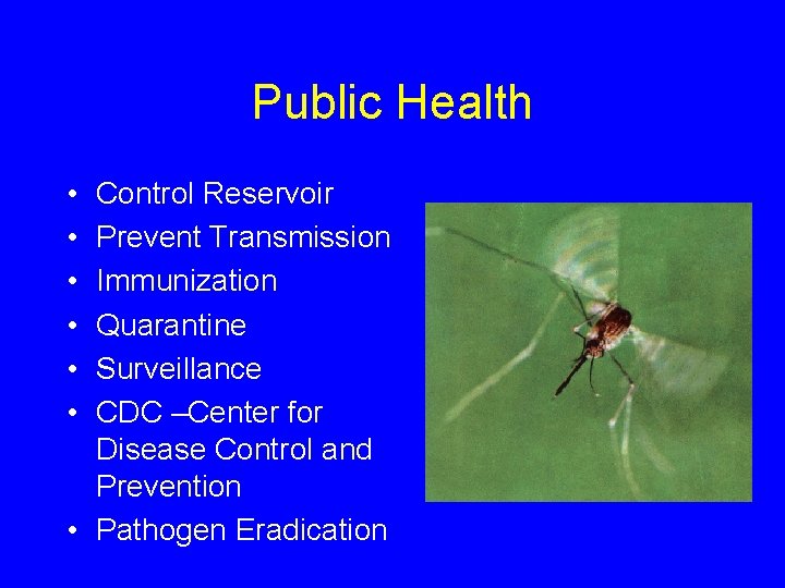 Public Health • • • Control Reservoir Prevent Transmission Immunization Quarantine Surveillance CDC –Center