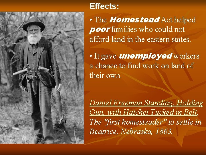 Effects: • The Homestead Act helped poor families who could not afford land in