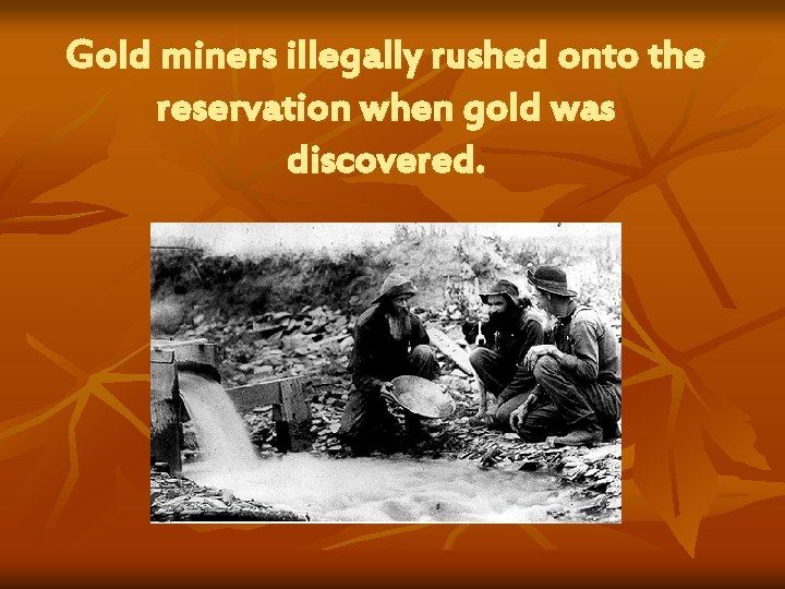 Gold miners illegally rushed onto the reservation when gold was discovered. 