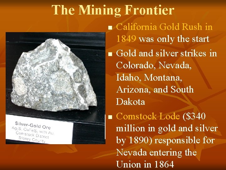 The Mining Frontier n n n California Gold Rush in 1849 was only the