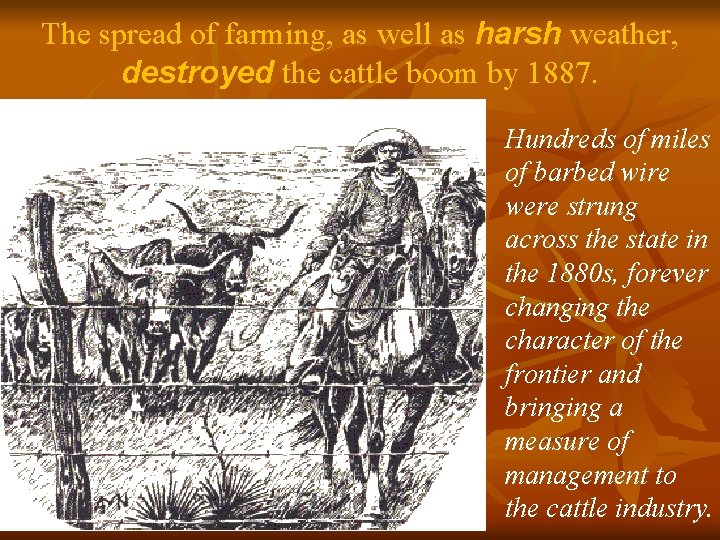 The spread of farming, as well as harsh weather, destroyed the cattle boom by