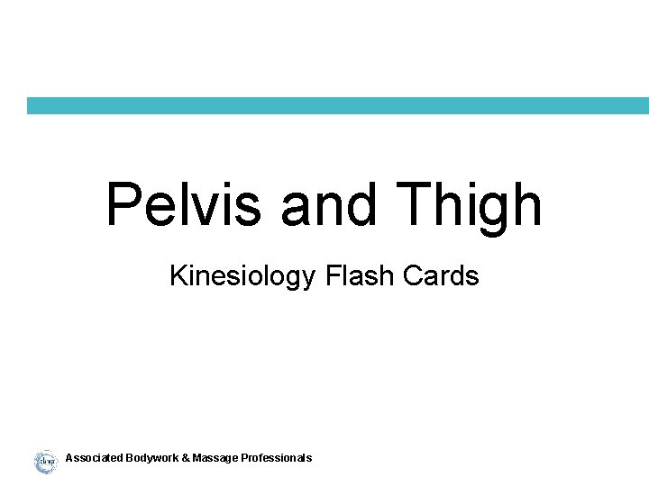 Pelvis and Thigh Kinesiology Flash Cards Associated Bodywork & Massage Professionals 