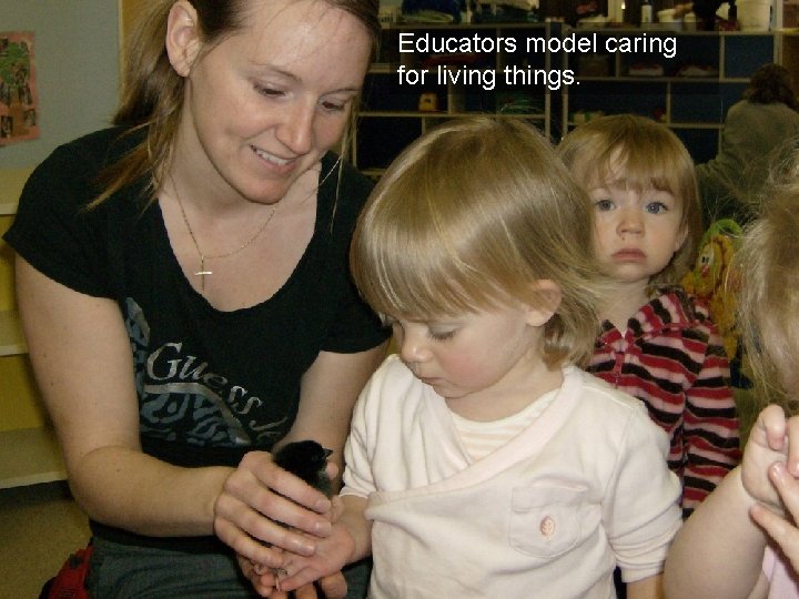 Educators model caring for living things. 