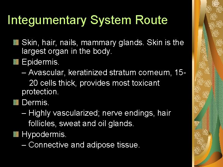 Integumentary System Route Skin, hair, nails, mammary glands. Skin is the largest organ in