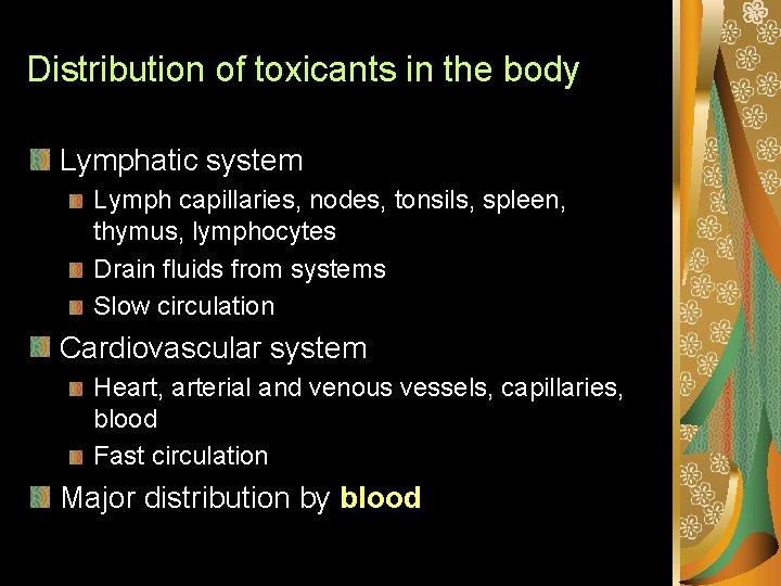 Distribution of toxicants in the body Lymphatic system Lymph capillaries, nodes, tonsils, spleen, thymus,