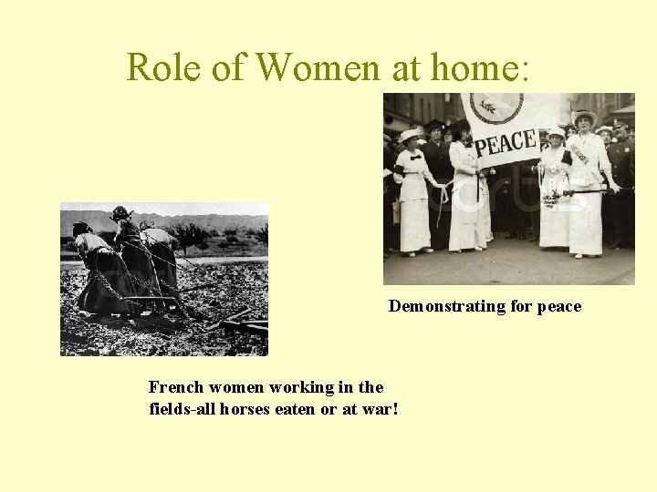 Role of Women at home: Demonstrating for peace French women working in the fields-all