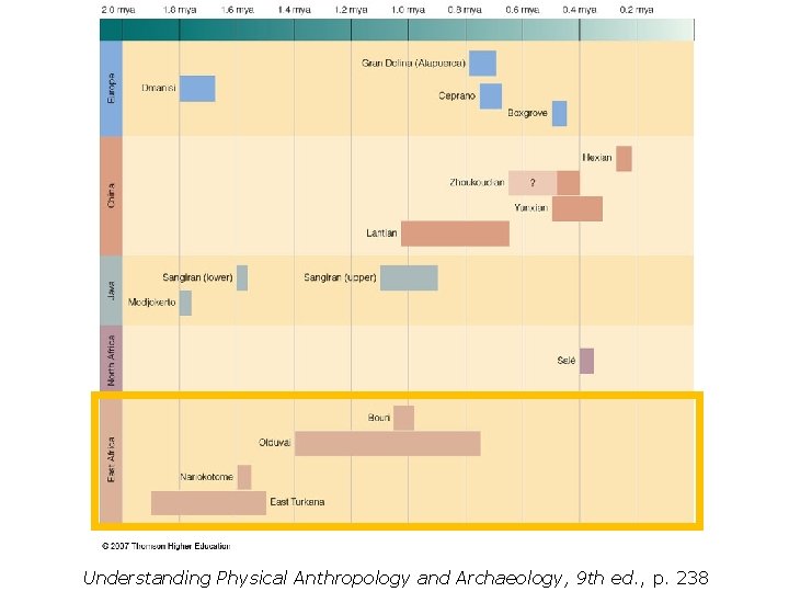 Understanding Physical Anthropology and Archaeology, 9 th ed. , p. 238 