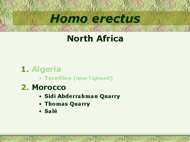 Homo erectus North Africa 1. Algeria • Ternifine (now Tighenif) 2. Morocco • Sidi