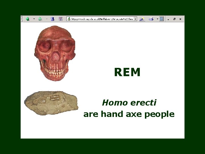 REM Homo erecti are hand axe people 