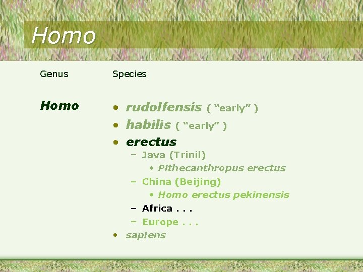 Homo Genus Species Homo • rudolfensis ( “early” ) • habilis ( “early” )