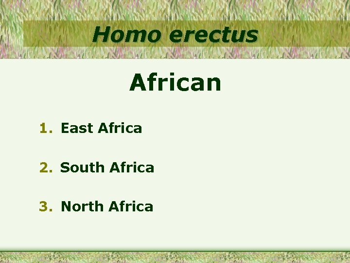 Homo erectus African 1. East Africa 2. South Africa 3. North Africa 