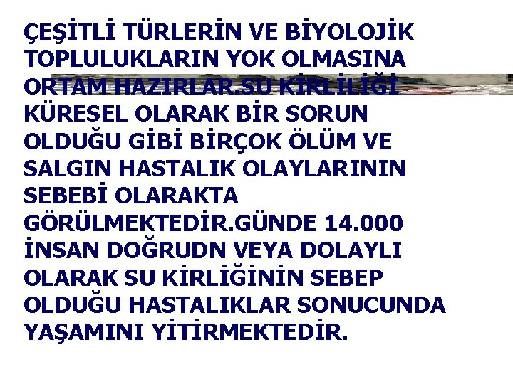 ÇEŞİTLİ TÜRLERİN VE BİYOLOJİK TOPLULUKLARIN YOK OLMASINA ORTAM HAZIRLAR. SU KİRLİLİĞİ KÜRESEL OLARAK BİR