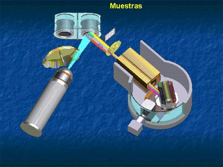 Muestras 