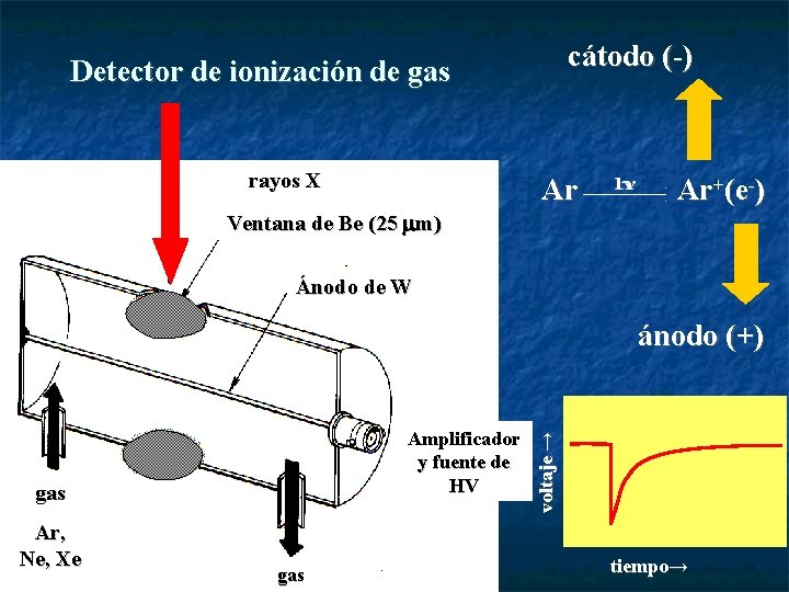 cátodo (-) Detector de ionización de gas rayos X Ar Ar+(e-) Ventana de Be