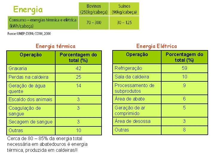 Energia térmica Operação Energia Elétrica Porcentagem do total (%) Operação Porcentagem do total (%)