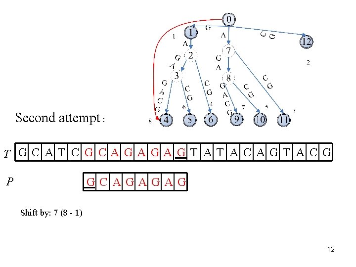Second attempt : T GC AT C G CAGAGAGT AT AC AGT AC G