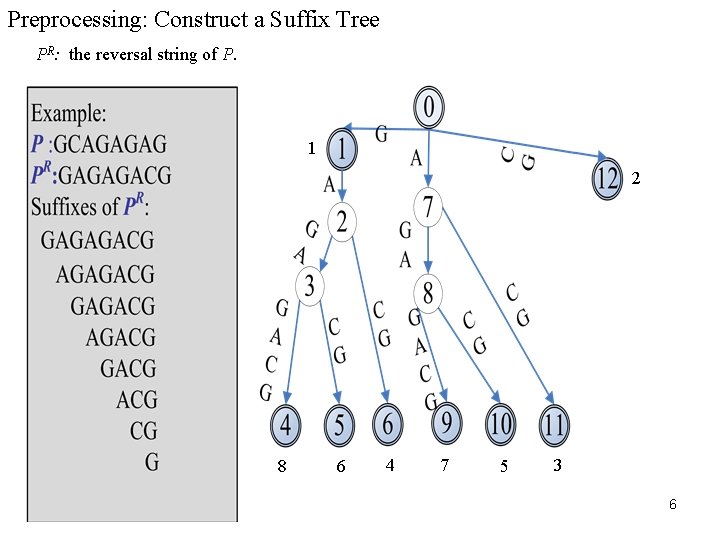 Preprocessing: Construct a Suffix Tree PR: the reversal string of P. 1 2 8