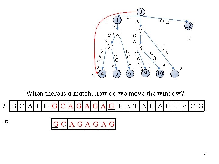 When there is a match, how do we move the window? T GC AT