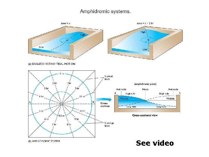See video 