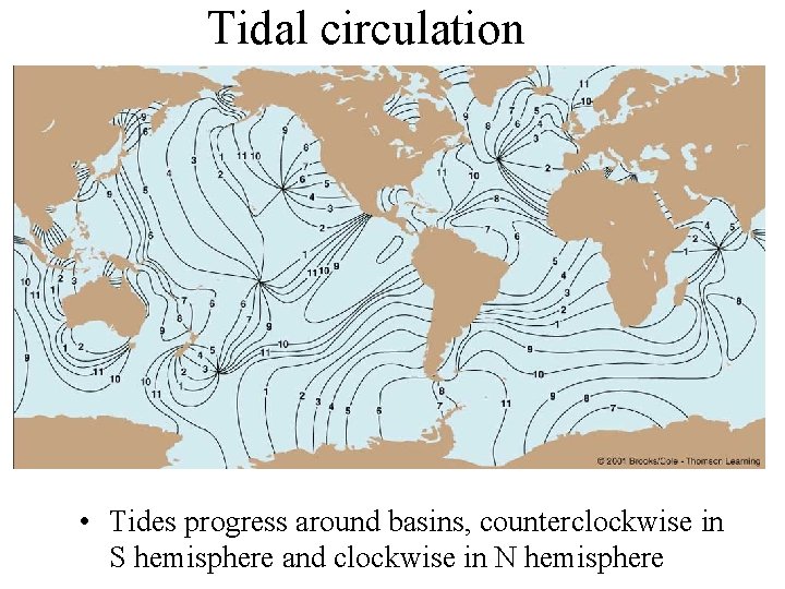 Tidal circulation • Tides progress around basins, counterclockwise in S hemisphere and clockwise in
