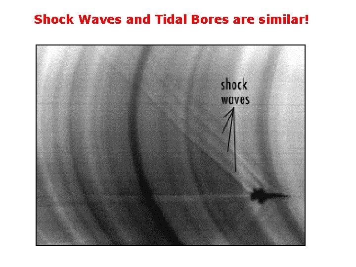 Shock Waves and Tidal Bores are similar! 