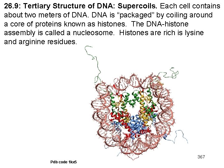 26. 9: Tertiary Structure of DNA: Supercoils. Each cell contains about two meters of