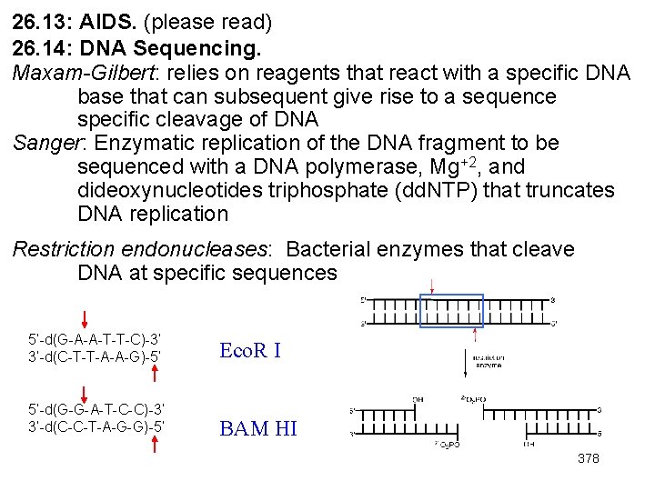 26. 13: AIDS. (please read) 26. 14: DNA Sequencing. Maxam-Gilbert: relies on reagents that