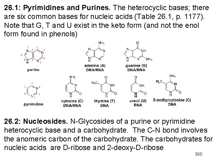 26. 1: Pyrimidines and Purines. The heterocyclic bases; there are six common bases for