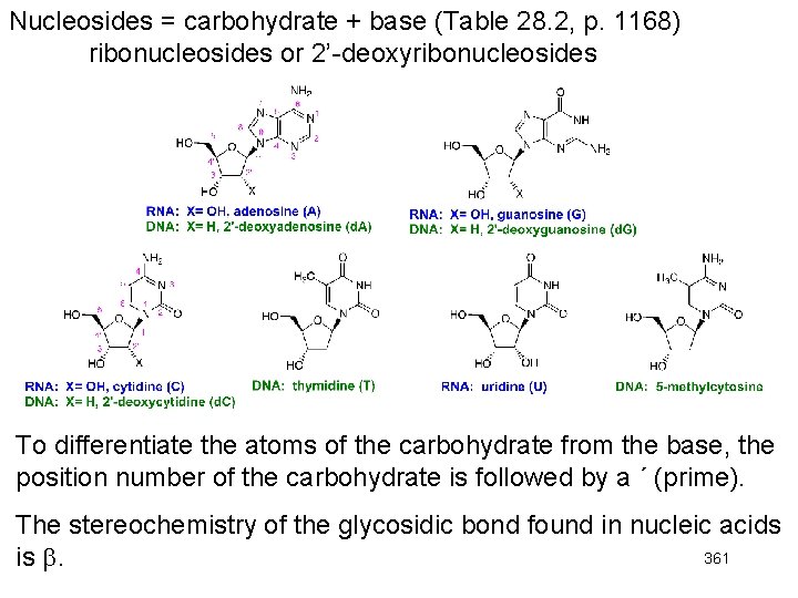 Nucleosides = carbohydrate + base (Table 28. 2, p. 1168) ribonucleosides or 2’-deoxyribonucleosides To