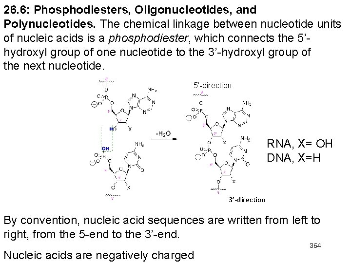 26. 6: Phosphodiesters, Oligonucleotides, and Polynucleotides. The chemical linkage between nucleotide units of nucleic