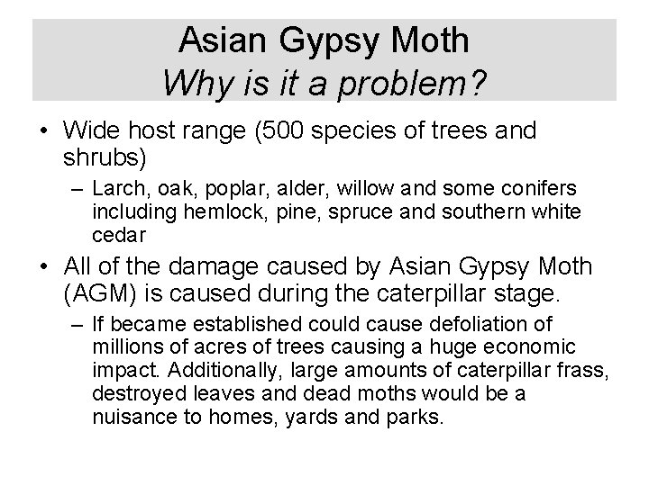 Asian Gypsy Moth Why is it a problem? • Wide host range (500 species