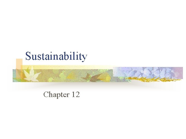 Sustainability Chapter 12 