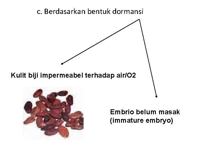 c. Berdasarkan bentuk dormansi Kulit biji impermeabel terhadap air/O 2 Embrio belum masak (immature