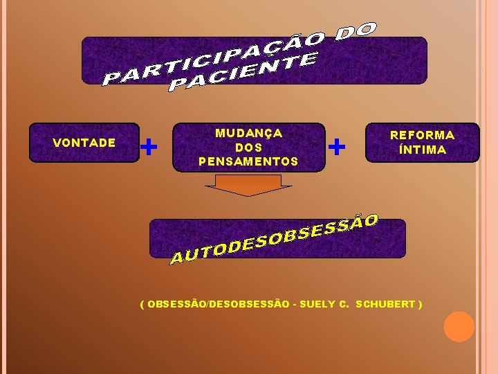 VONTADE + MUDANÇA DOS PENSAMENTOS + REFORMA ÍNTIMA ( OBSESSÃO/DESOBSESSÃO - SUELY C. SCHUBERT
