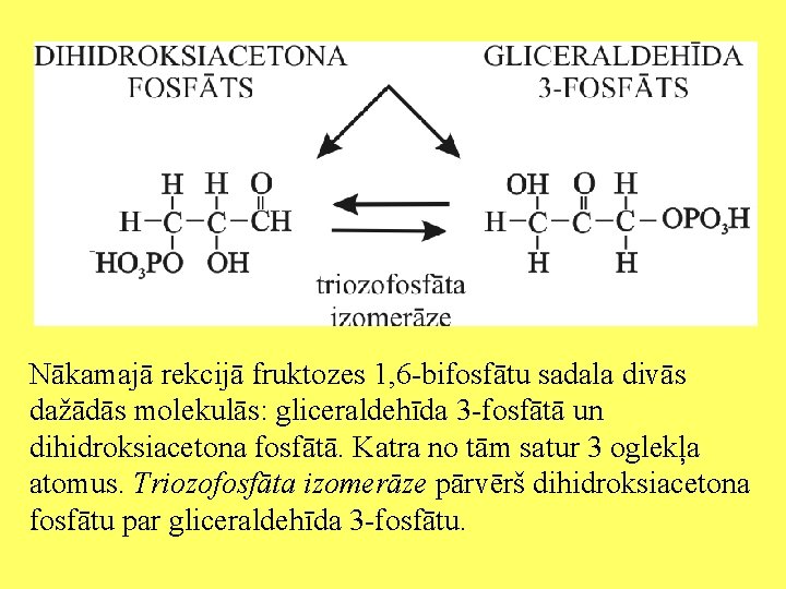Nākamajā rekcijā fruktozes 1, 6 -bifosfātu sadala divās dažādās molekulās: gliceraldehīda 3 -fosfātā un