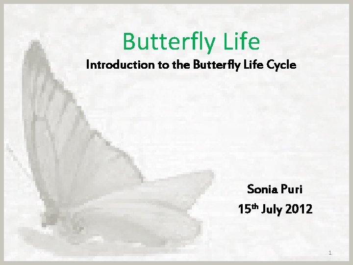 Butterfly Life Introduction to the Butterfly Life Cycle Sonia Puri 15 th July 2012