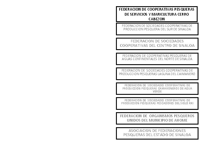 FEDERACION DE COOPERATIVAS PESQUERAS DE SERVICIOS Y MARICULTURA CERRO CABEZON FEDERACION DE SOCIEDADES COOPERATIVAS