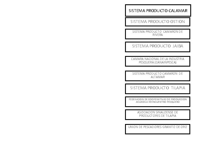 SISTEMA PRODUCTO CALAMAR SISTEMA PRODUCTO OSTION SISTEMA PRODUCTO CAMARON DE RIVERA SISTEMA PRODUCTO JAIBA