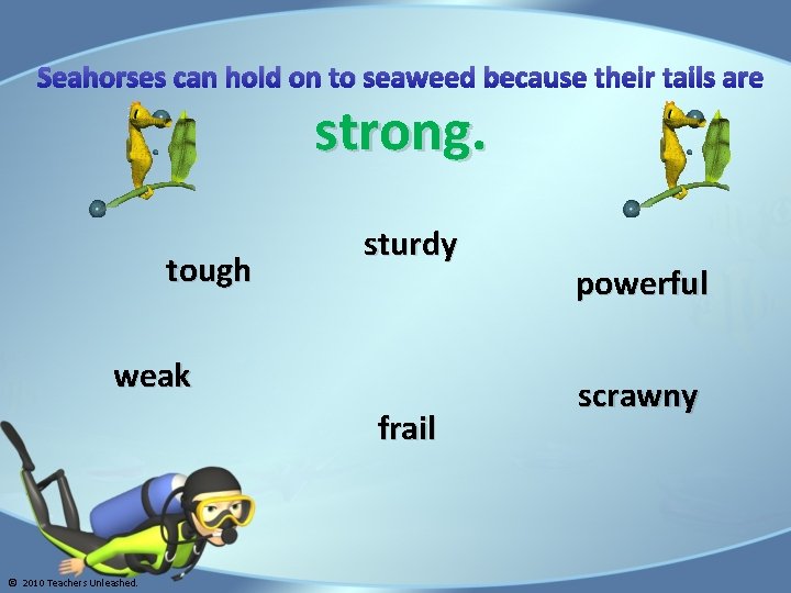 Seahorses can hold on to seaweed because their tails are strong. tough sturdy weak