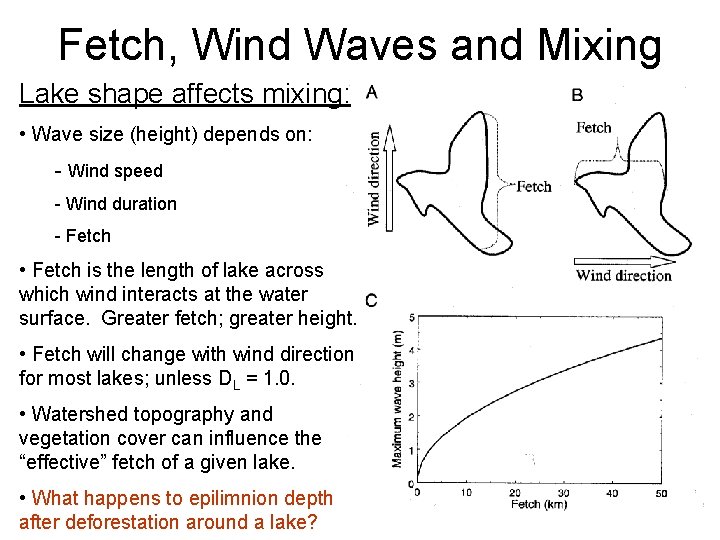 Fetch, Wind Waves and Mixing Lake shape affects mixing: • Wave size (height) depends