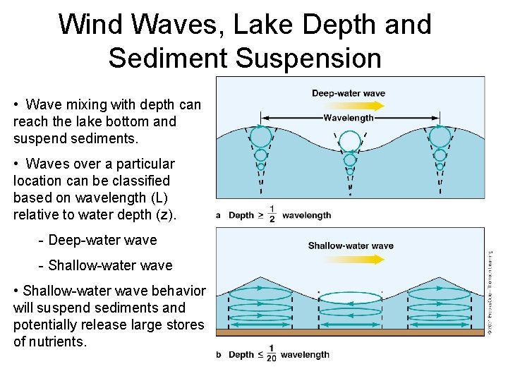 Wind Waves, Lake Depth and Sediment Suspension • Wave mixing with depth can reach