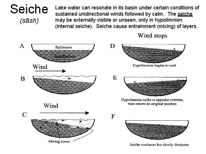 Seiche (sāsh) Lake water can resonate in its basin under certain conditions of sustained