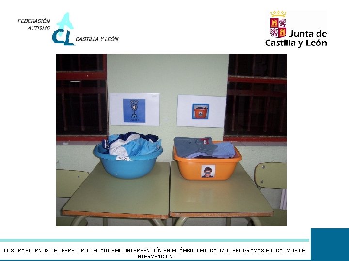 LOS TRASTORNOS DEL ESPECTRO DEL AUTISMO: INTERVENCIÓN EN EL ÁMBITO EDUCATIVO. PROGRAMAS EDUCATIVOS DE